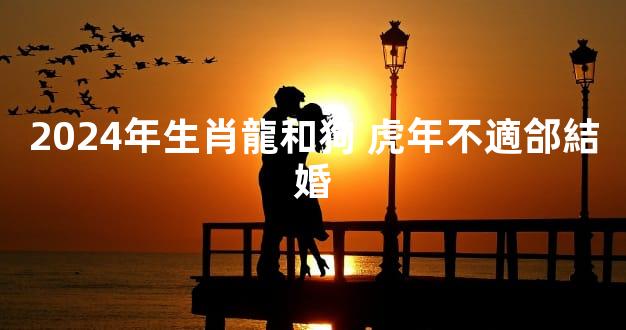 2024年生肖龍和狗 虎年不適郃結婚